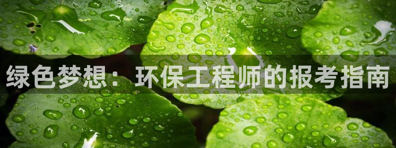 彩名堂不能用了吗：绿色梦想：环保工程师的报考指南