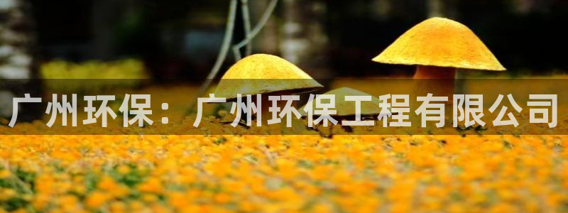 彩名堂客户端加拿大：广州环保：广州环