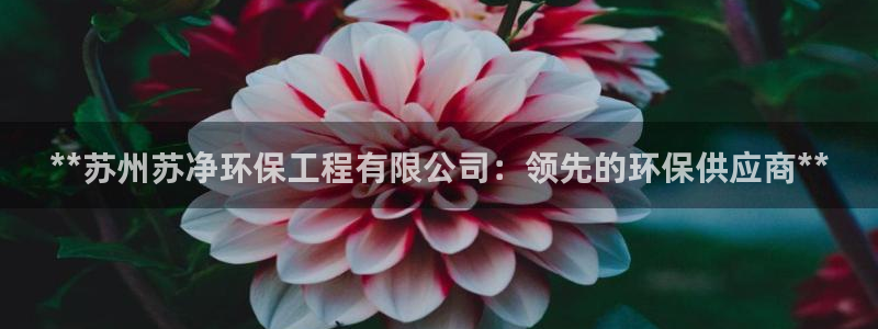 彩名堂客户端加拿大：**苏州苏净环保