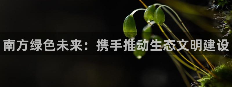 彩名堂网页：南方绿色未来：携手推动生