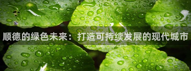 彩名堂怎么用不了了：顺德的绿色未来：打造可持续发展的现代城市