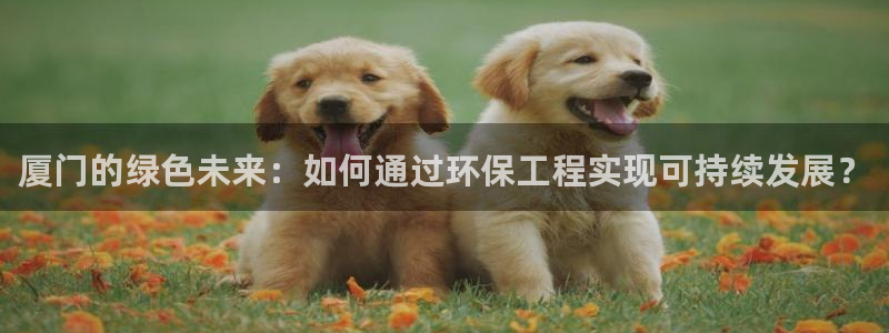 彩名堂为啥又不能用了：厦门的绿色未来