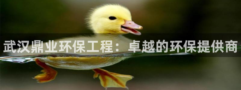 彩名堂拼音怎么拼：武汉鼎业环保工程：