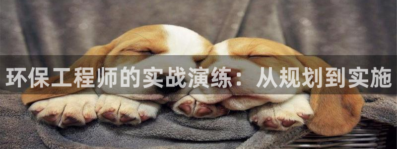 彩名堂怎么用不输：环保工程师的实战演