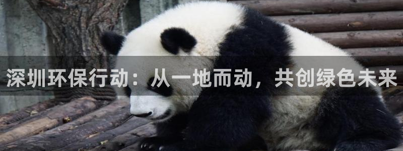 彩名堂：深圳环保行动：从一地而动，共