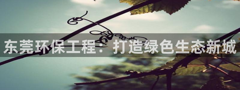 彩名堂用不了：东莞环保工程：打造绿色