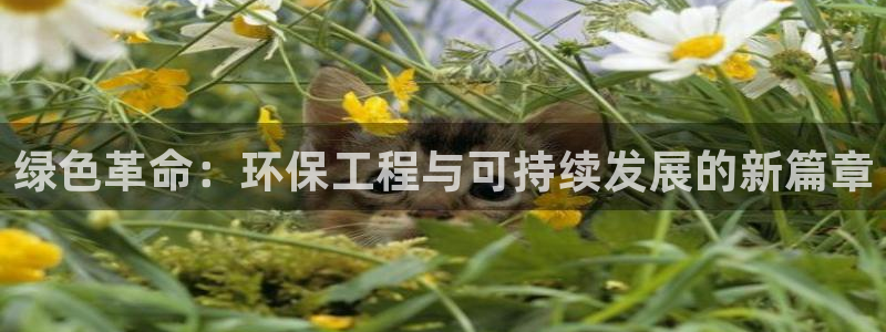 彩名堂预测软件：绿色革命：环保工程与