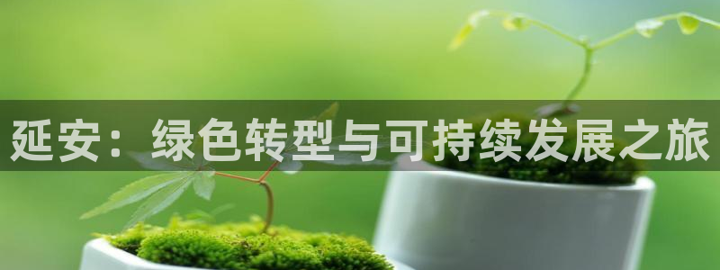 彩名堂app官方网址是多少：延安：绿色转型与可持续发展之旅