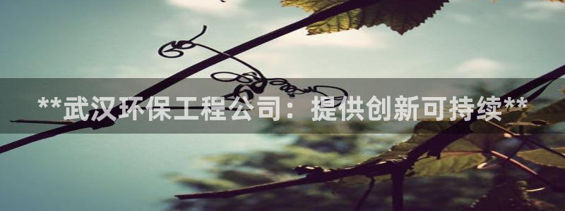 下载彩名堂预测计划软件安卓：**武汉环保工程公司：提供创新可