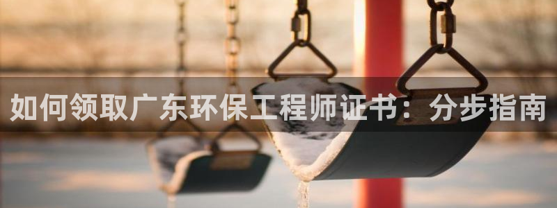 彩名堂加拿大怎么买准确率高：如何领取广东环保工程师证书：分步