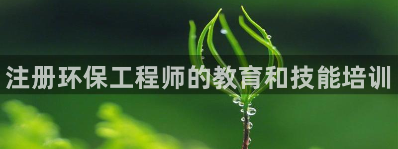 为什么彩名堂今天不能用：注册环保工程师的教育和技能培训