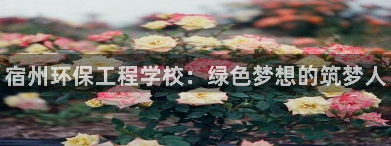 谁知道彩名堂网站是多少：宿州环保工程