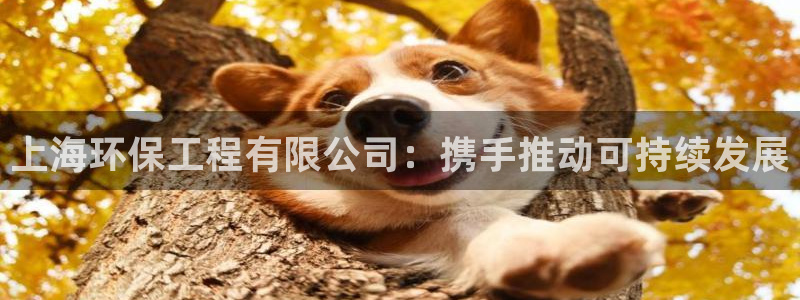 老版本彩名堂计划软件：上海环保工程有