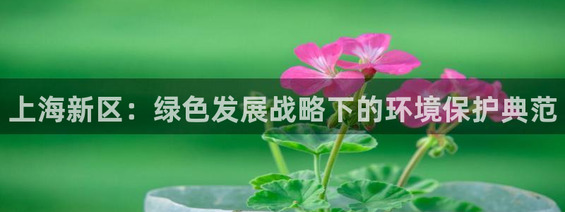 彩名堂App下载：上海新区：绿色发展