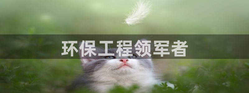 彩名堂网页：环保工程领军者