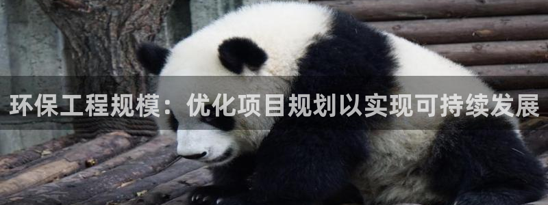 彩名堂v1.0.6：环保工程规模：优