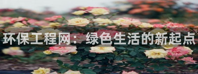 彩名堂免费计划官网5.0.0：环保工程网：绿色生活的新起点