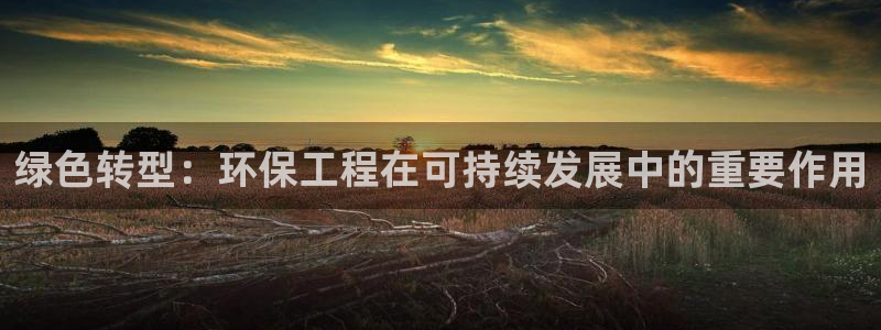 彩名堂计划真的准吗：绿色转型：环保工