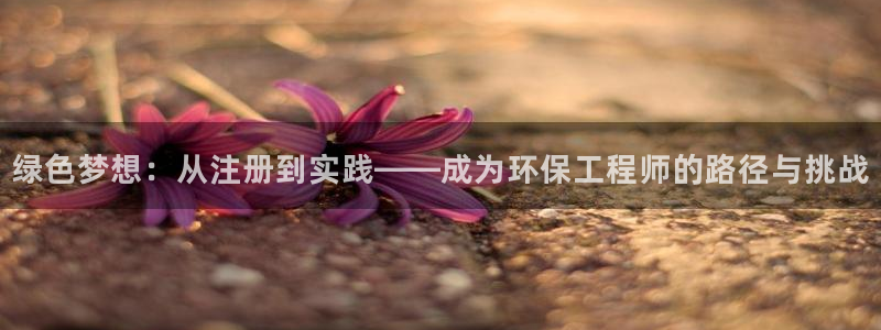 老版彩名堂：绿色梦想：从注册到实践—