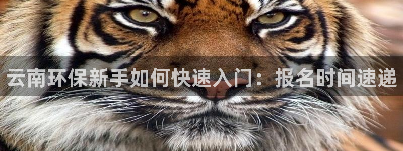 彩名堂免费计划官网怎么进不去了：云南