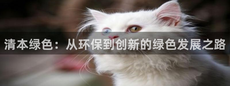 老版本彩名堂计划软件：清本绿色：从环