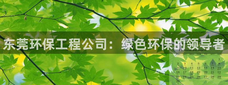 彩名堂官网网页计划：东莞环保工程公司