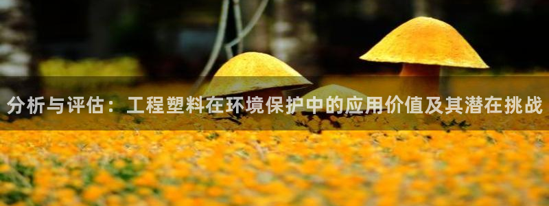 彩名堂官网计划01：分析与评估：工程