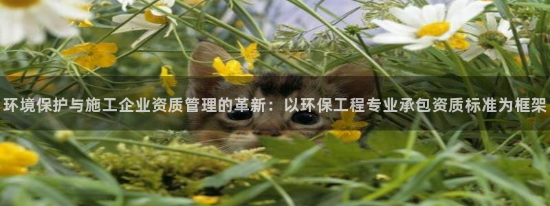 彩名堂为什么打不开：环境保护与施工企