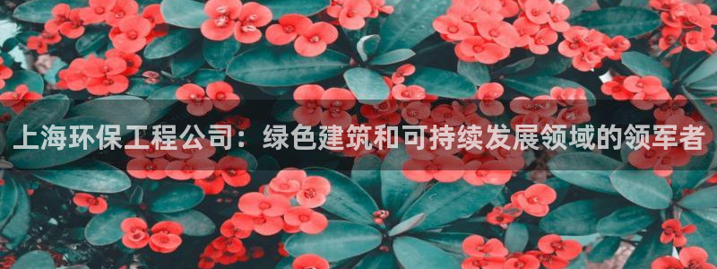 彩名堂手机客户端怎么进不去了：上海环