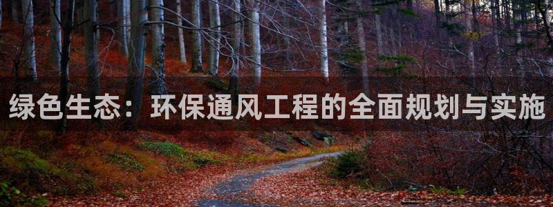 彩名堂免费计划软件下载：绿色生态：环保通风工程的全面规划与实