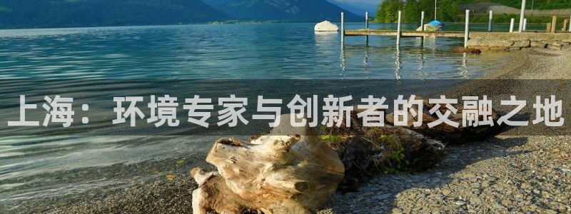 彩名堂官网计划怎么下载：上海：环境专家与创新者的交融之地