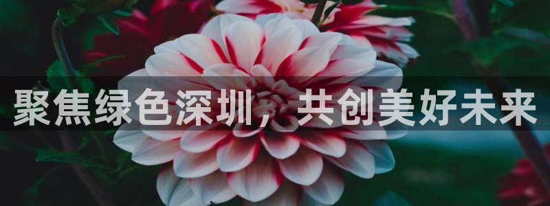 彩名堂免费计划官网怎么进不去了呢：聚