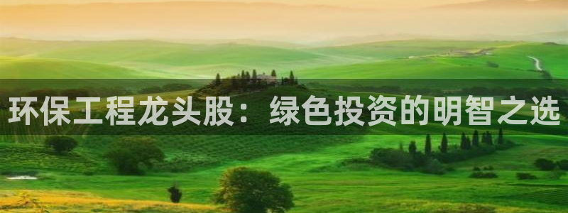 彩名堂图片：环保工程龙头股：绿色投资的明智之选