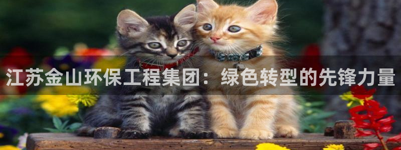 彩名堂官网计划怎么下载：江苏金山环保工程集团：绿色转型的先锋
