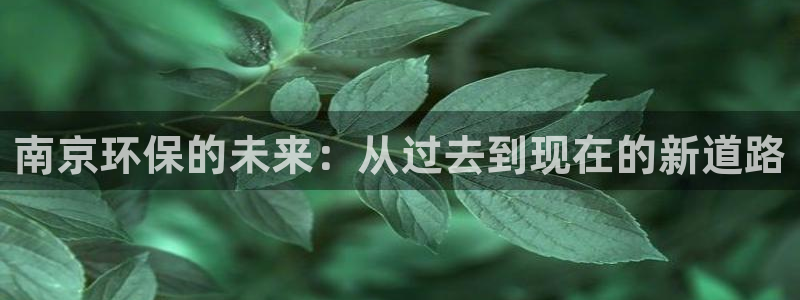 彩名堂和01计划哪个好：南京环保的未