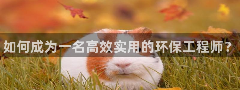 彩名堂移动客户端是什么：如何成为一名高效实用的环保工程师？